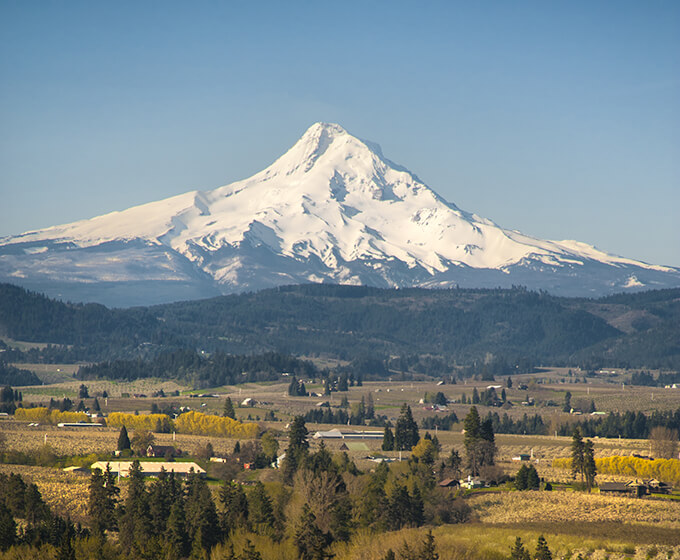 Picture of Mount Hood.