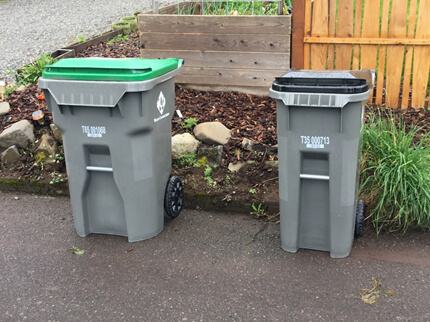 Residential collection carts.